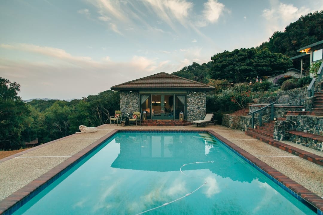 pool vacuum